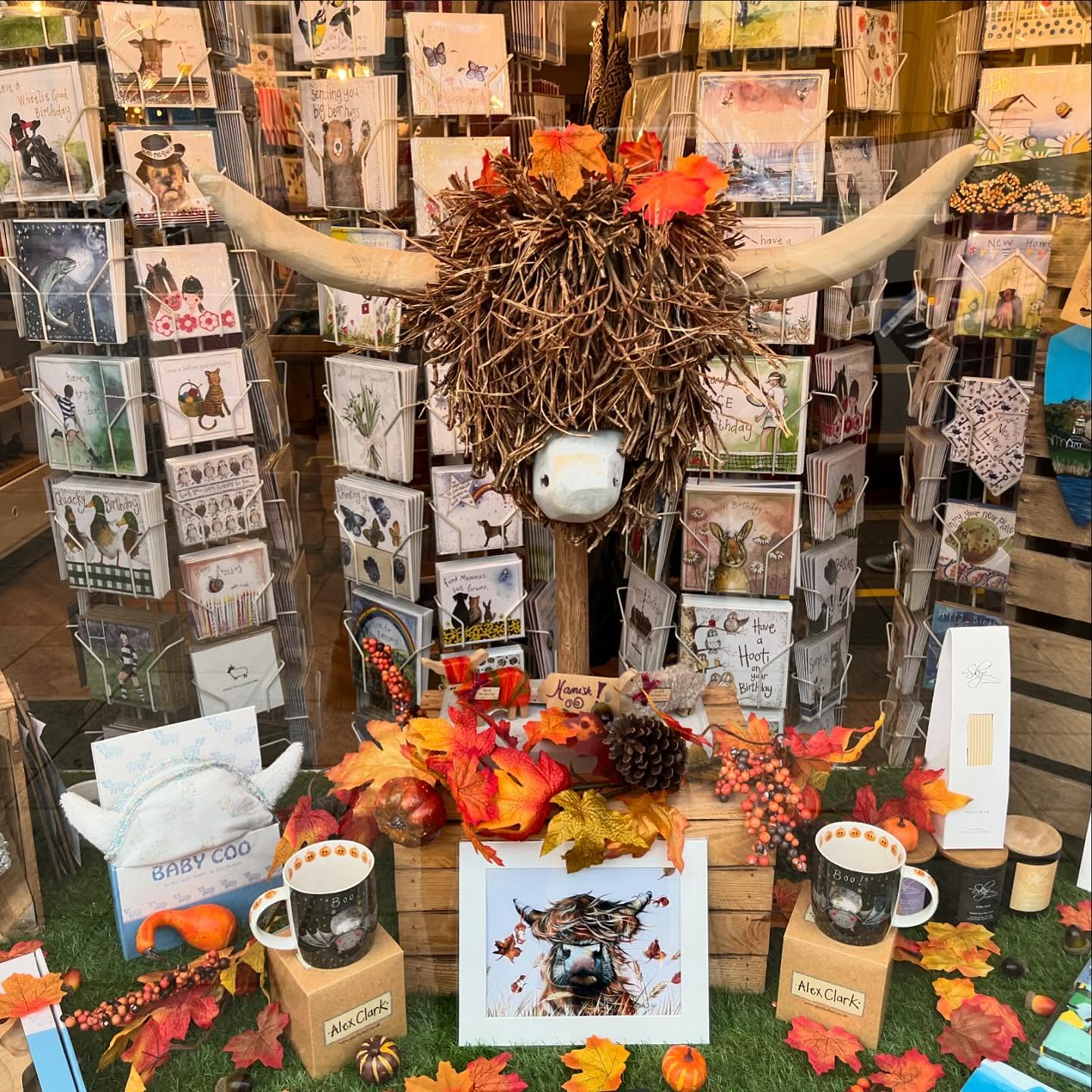 Herringbone window display